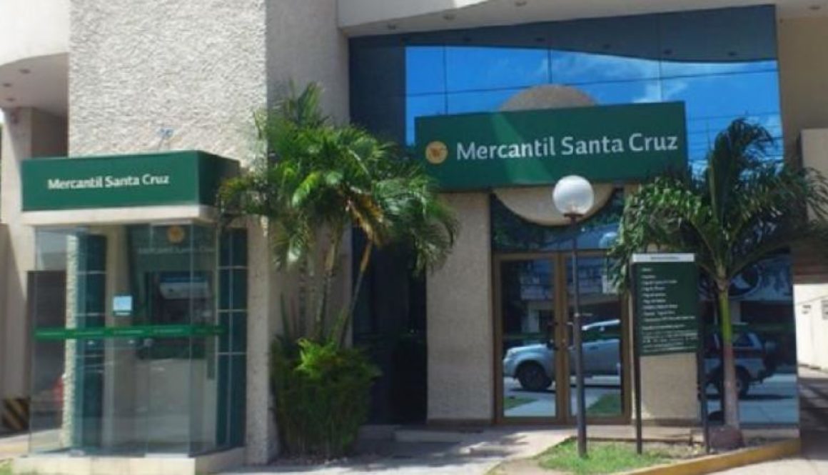 bmsc (1)