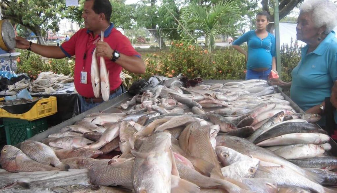 Pescado-venta-1024x670