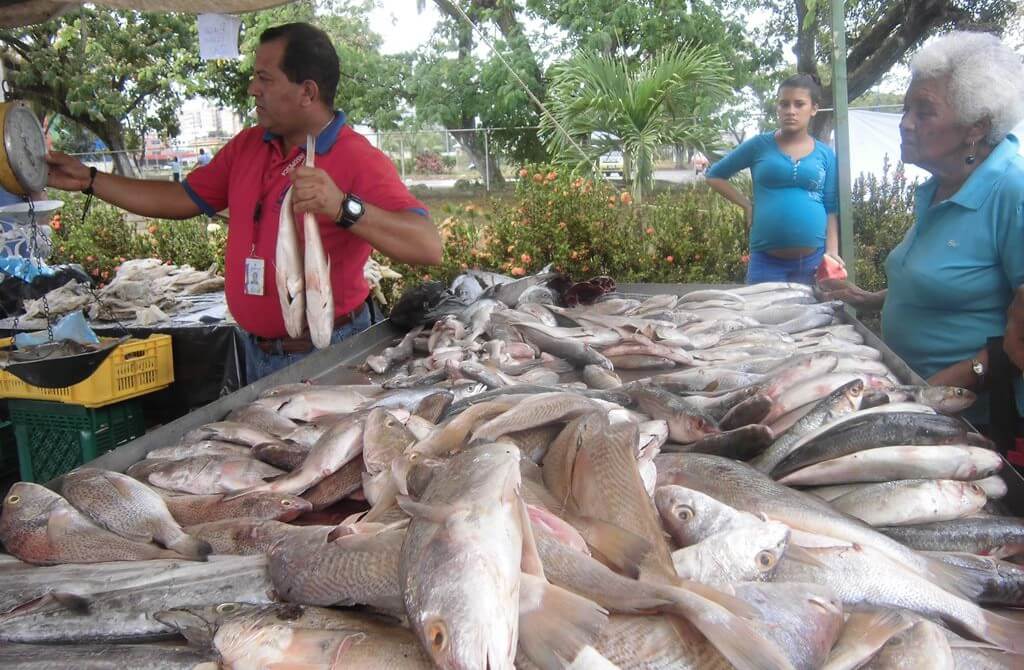 Pescado-venta-1024x670