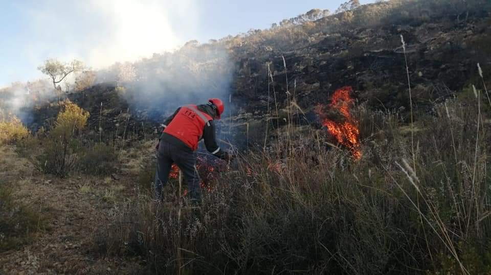 FB_IMG_1623714779100