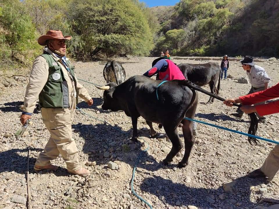 FB_IMG_1625277409028