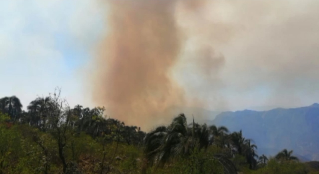 Screenshot_20210907-214312_WhatsApp