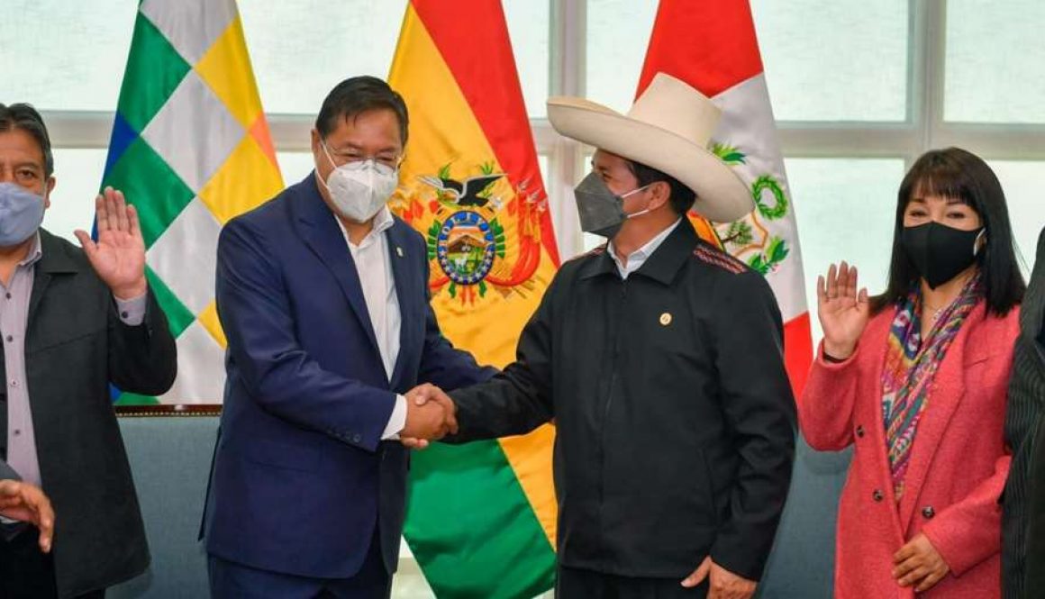 gabinete-binacional-pedro-castillo-luis-arce-presidentes-boliv_1127132777_1140x520