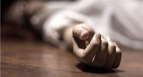 253385746_4498995383549579_2039533655773950071_n