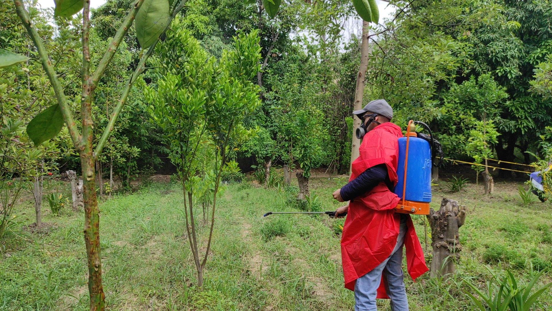 256100914_260602219430236_3947006264869492597_n