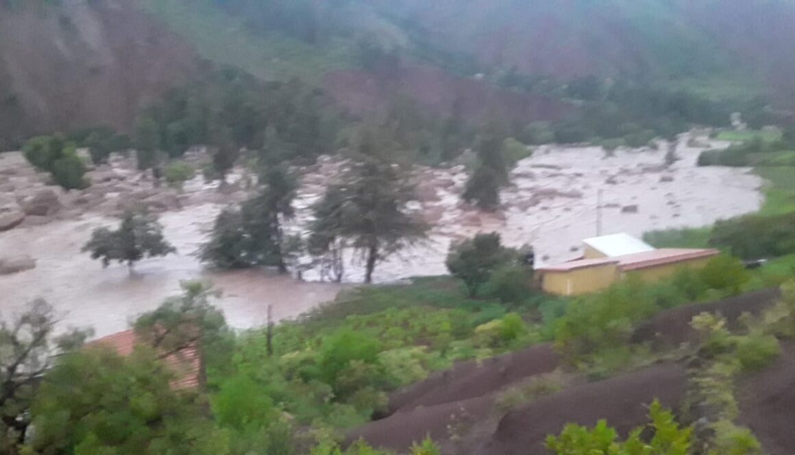 WhatsApp Image 2022-02-04 at 08.22.53