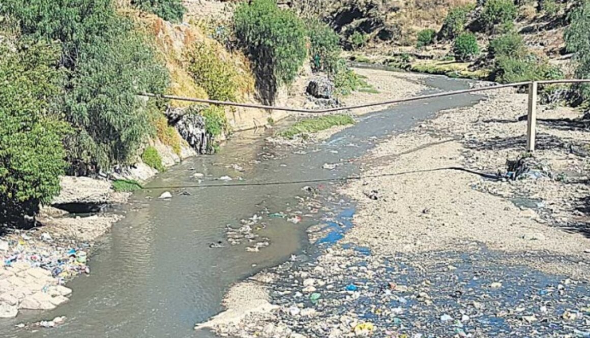 WhatsApp Image 2022-03-21 at 8.10.49 AM