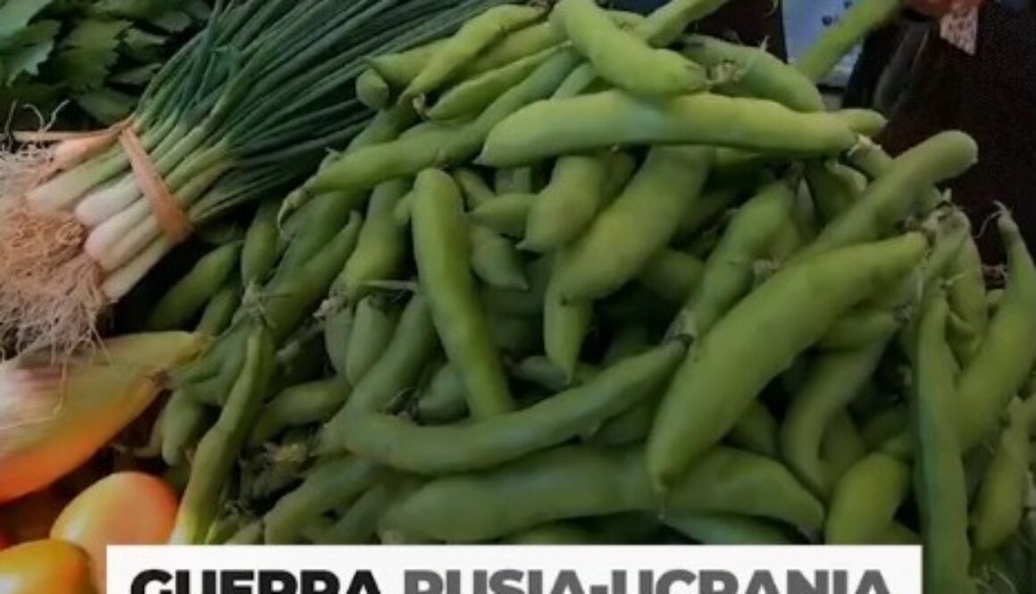 WhatsApp Image 2022-05-17 at 11.15.01 AM WhatsApp Image 2022-05-17 at 11.15.01 AM