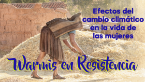 02 web warmis en resistencia